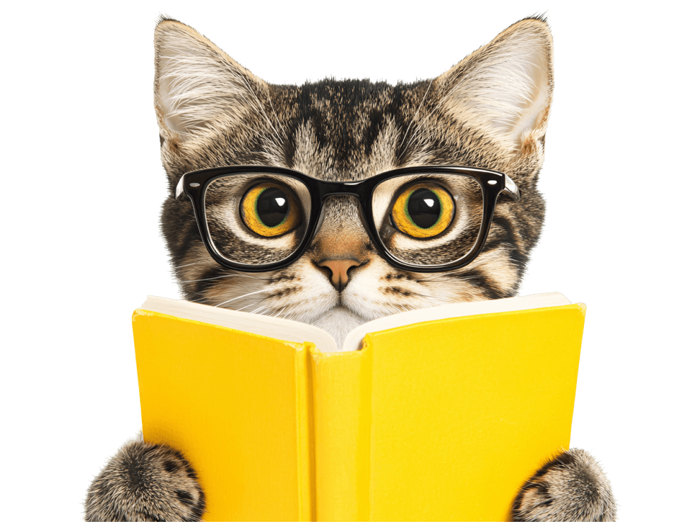 Summerville Community Cat Clinic | Dorchester Paws